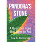 Pandora's Stone: A Quest for Hope that Goes to Pot - Hardcover