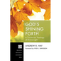 God's Shining Forth: A Trinitarian Theology of Divine Light - Paperback