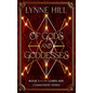 Of Gods and Goddesses: Book 3 - Hardcover