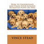 How to Understand and Train Your Golden Retriever Puppy or Dog - Paperback