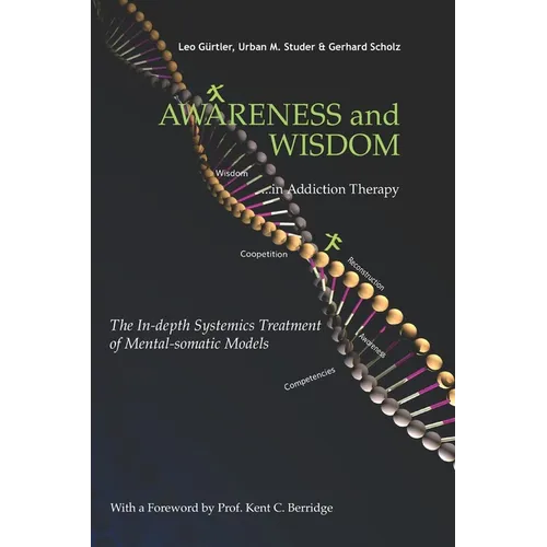 Awareness and Wisdom in Addiction Therapy: The In-Depth Systemics Treatment of Mental-somatic Models - Paperback