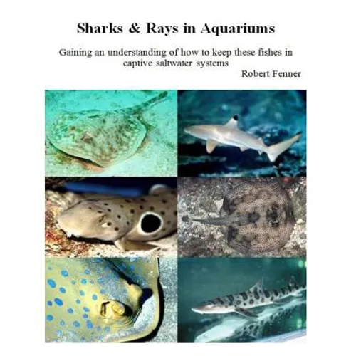 Sharks & Rays in Aquariums: Gaining an understanding of how to keep these fishes in captive saltwater systems - Paperback