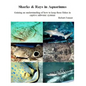 Sharks & Rays in Aquariums: Gaining an understanding of how to keep these fishes in captive saltwater systems - Paperback