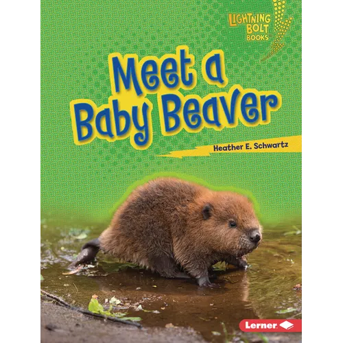 Meet a Baby Beaver - Library Binding