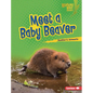 Meet a Baby Beaver - Library Binding