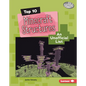 Top 10 Minecraft Structures: An Unofficial List - Library Binding