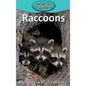 Raccoons - Hardcover