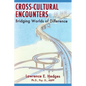 Cross-Cultural Encounters: Bridging Worlds of Difference - Paperback