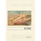 Vintage Lined Notebook Greetings from Coney Island, Conch - Paperback