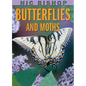 Nic Bishop: Butterflies and Moths - Hardcover