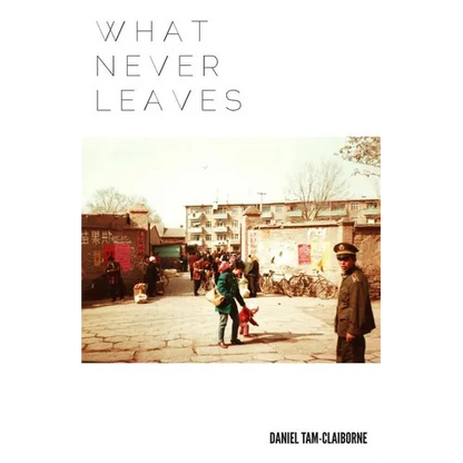 What Never Leaves - Paperback