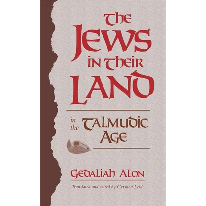 The Jews in Their Land in the Talmudic Age: 70-640 CE - Paperback