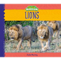 Lions - Library Binding