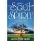 Soul and Spirit: Finding Freedom in Christ - Paperback