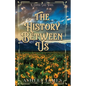 The History Between Us - Paperback