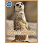 Meerkat Activity Workbook for Kids ages 4-8 - Paperback