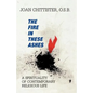 The Fire in These Ashes: A Spirituality of Contemporary Religious Life - Paperback