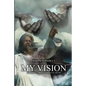 My Vision: A Journey Through Biblical Truth - Paperback