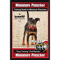 Miniature Pinscher Training Book for Miniature Pinschers By BoneUP DOG Training: Are You Ready to Bone Up? Easy Training * Fast Results Miniature Pins - Paperback