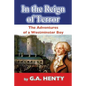 In the Reign of Terror: The Adventures of a Westminster Boy - Paperback