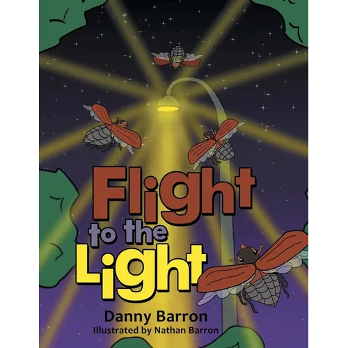 Flight to the Light - Paperback