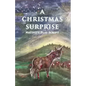 A Christmas Surprise: A Nativity Play Script For Children - Paperback