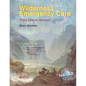 Wilderness Emergency Care - Paperback