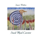 Snail Mail Cursive - Paperback