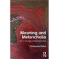 Meaning and Melancholia: Life in the Age of Bewilderment - Paperback