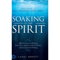 Soaking in the Spirit: Effortless Access to Hearing God's Voice, Intimacy with the Father, and Supernatural Healing - Hardcover