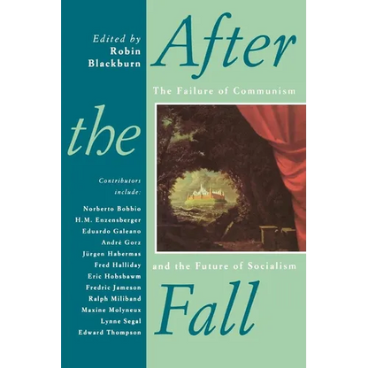 After the Fall: The Failure of Communism and the Future of Socialism - Paperback