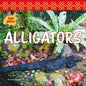 Alligators - Paperback
