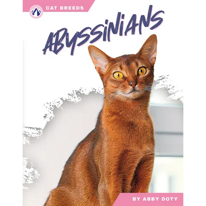 Abyssinians - Paperback