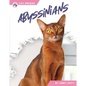 Abyssinians - Paperback