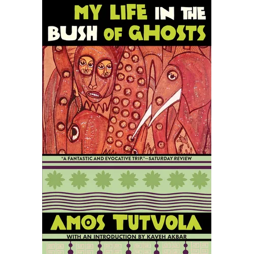 My Life in the Bush of Ghosts - Paperback