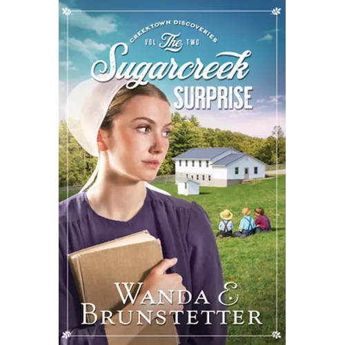 The Sugarcreek Surprise: Volume 2 - Paperback