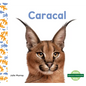 Caracal (Caracals) - Library Binding