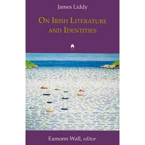 On Irish Literature and Identities - Paperback