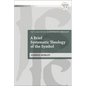 A Brief Systematic Theology of the Symbol - Paperback