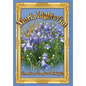 Marfa Lights Out - Hardcover