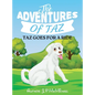 The Adventures of Taz: Taz Goes for A Ride - Hardcover