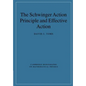 The Schwinger Action Principle and Effective Action - Paperback
