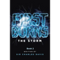 Firstborns: The Storm - Paperback