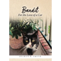 Bandit: For the Love of a Cat - Hardcover