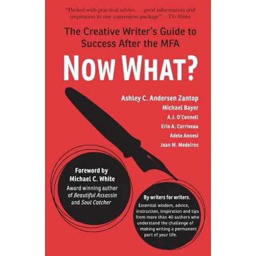Now What?: The Creative Writer's Guide to Success After the MFA - Paperback