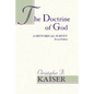 The Doctrine of God: A Historical Survey (Revised) - Paperback