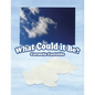 What Could It Be? - Paperback