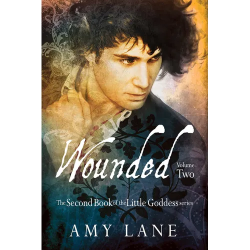 Wounded, Vol. 2 - Paperback