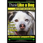 Catahoula Leopard Dog, Catahoula Leopard Dog Training Think Like a Dog, But Don't Eat Your Poop! Catahoula Leopard Dog Breed Expert Training: Here's E - Paperback