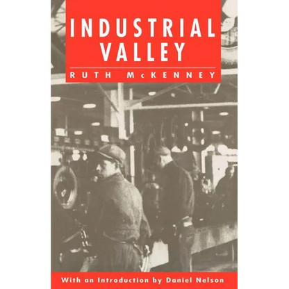 Industrial Valley: The Politics of Bureaucratic Socialism - Paperback